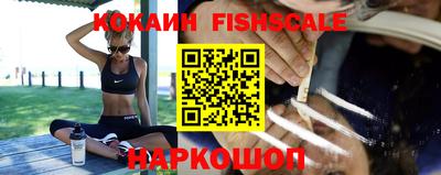 гидра Кинель