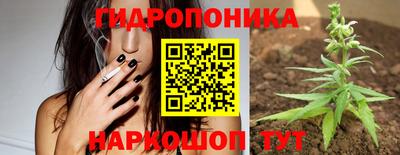 твердый Кимры