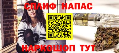 гидра Кинель