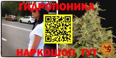 гидра Кинель