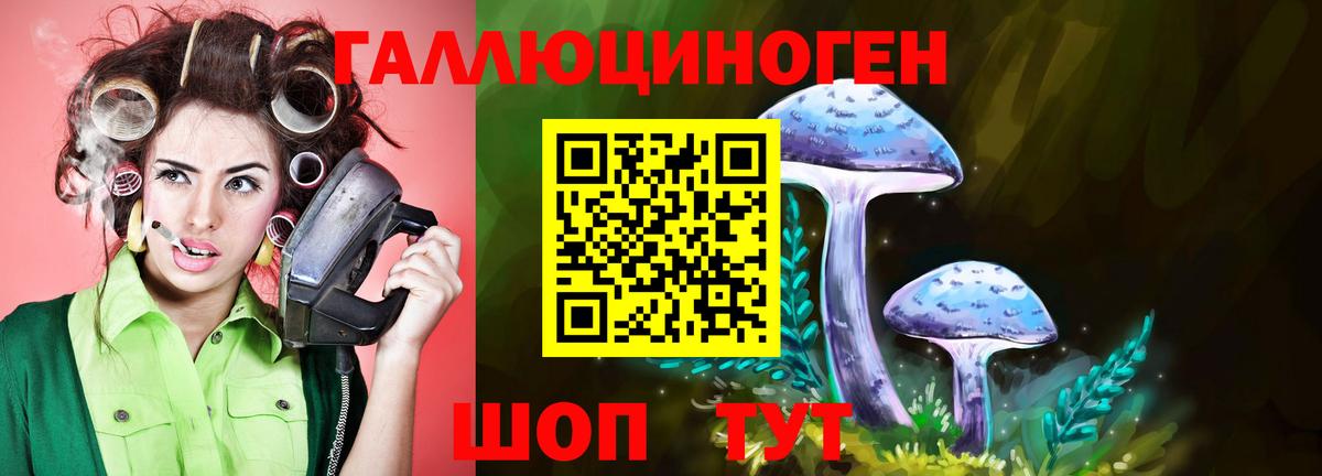 Псилоцибиновые грибы MAGIC MUSHROOMS  Вход с VPN  Кострома 